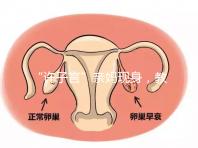 “許子言”親媽現(xiàn)身,教你如何生一個媽媽的小情人小暖爐!