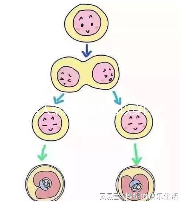 男人結婚時是否可以穿白色鞋子和白色西裝進行分析，看看對誰不利