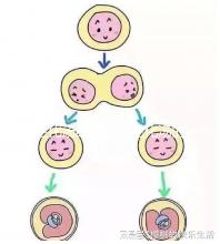 生化湯的作用(生化湯的作用與功效)