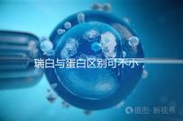 瑞白與蛋白區別可不小，保胎選擇哪個好一文說清