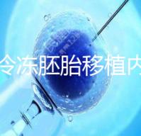 看看冷凍胚胎移植內(nèi)膜的準備方案這些要求需要提前了解