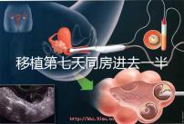 移植第七天同房進去一半有無影響戳，沒出血問題就不大