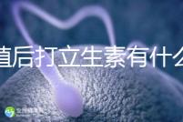 移植后打立生素有什么作用看這,想造hcg能否翻倍快碼住