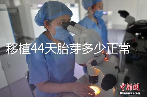 移植44天胎芽多少正常？胎芽長度和孕周對照表一覽