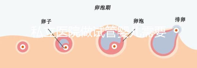 私立醫院做試管嬰兒需要多少錢費用