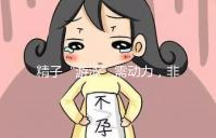 精子“游泳”需動力,非前向運動率低才有好孕