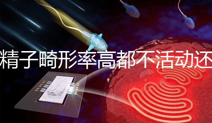 精子畸形率高都不活動還能做試管嬰兒嗎？