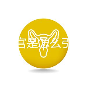 縱隔子宮是怎么引起的?十有八九是這些原因導致