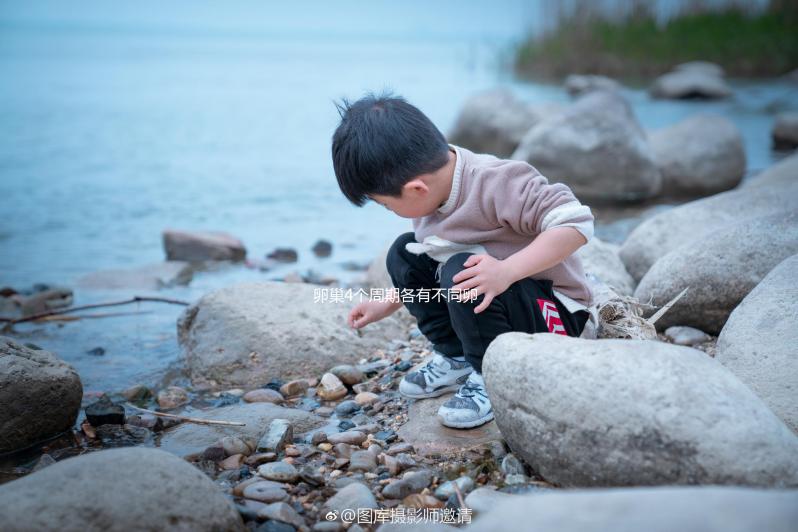 卵巢4個周期各有不同卵泡監(jiān)測發(fā)育情況要找準時間