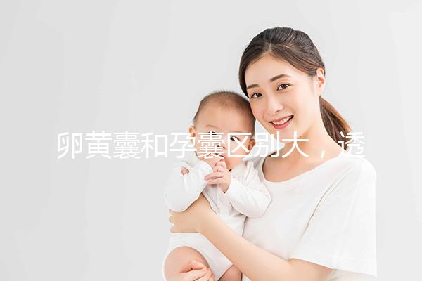 卵黃囊和孕囊區(qū)別大，透過B超首次為你揭露其形狀