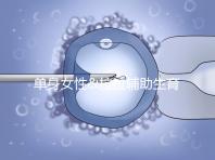 單身女性&拉拉輔助生育攻略之美國(guó)精子庫(kù)名錄