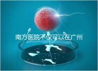 南方醫(yī)院不僅可以在廣州做b超，2024年黃浦區(qū)收費(fèi)最高...