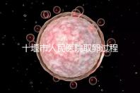 十堰市人民醫(yī)院取卵過程詳解,三種情況可全身麻醉