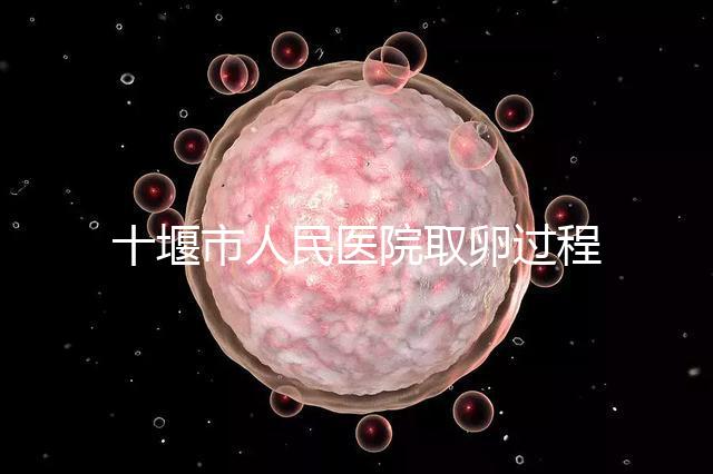 十堰市人民醫院取卵過程詳解，三種情況可全身麻醉