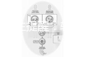 兒科醫(yī)生提醒：輪狀疫苗有不良反應(yīng)，輕微表現(xiàn)持續(xù)時(shí)間短