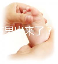 養(yǎng)囊結(jié)果出來(lái)了?3ab囊胚成功率、質(zhì)量好不好看這里