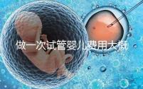 做一次試管嬰兒費(fèi)用大概多少