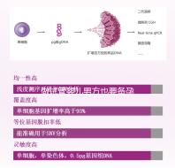 做試管嬰兒男方也要備孕？提升精子質量“四素一葷”不能少！