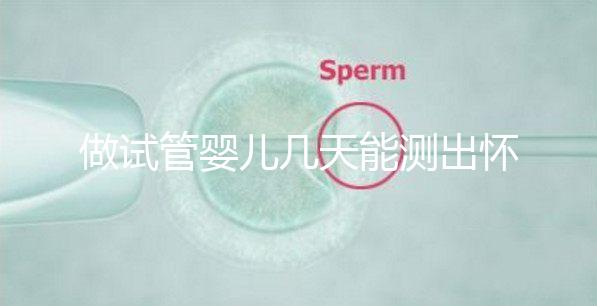 做試管嬰兒幾天能測出懷孕，3招教你提高試管成功率