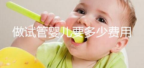 做試管嬰兒要多少費(fèi)用