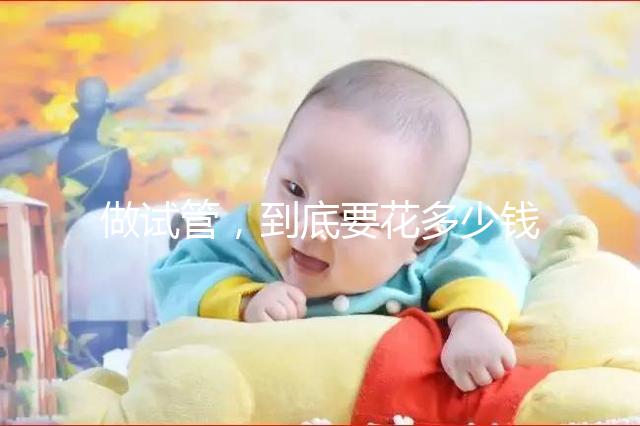 做試管，到底要花多少錢？！??！