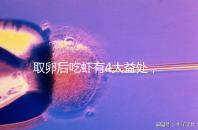 取卵后吃蝦有4大益處，且聽本文娓娓道來！