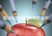 取卵和胚胎培養環節最重要？做試管嬰兒的你一定不知道！