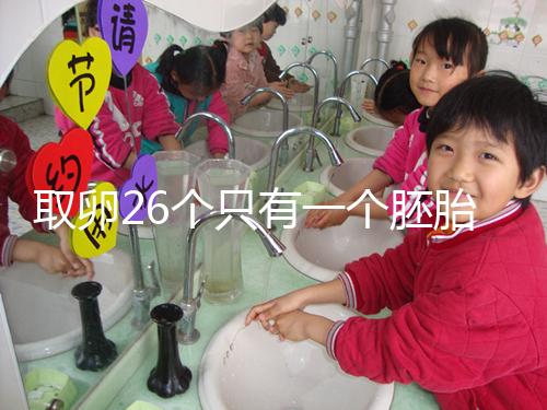 取卵26個(gè)只有一個(gè)胚胎成功率不低,次月移植凍胚易著床