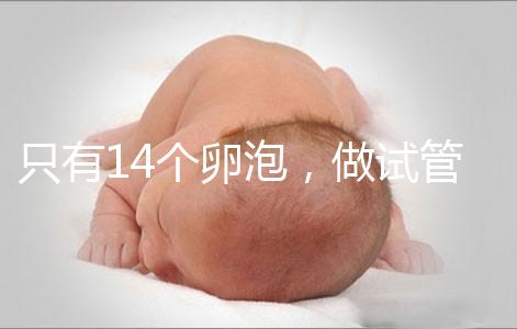 只有14個卵泡，做試管嬰兒到底要不要養囊？
