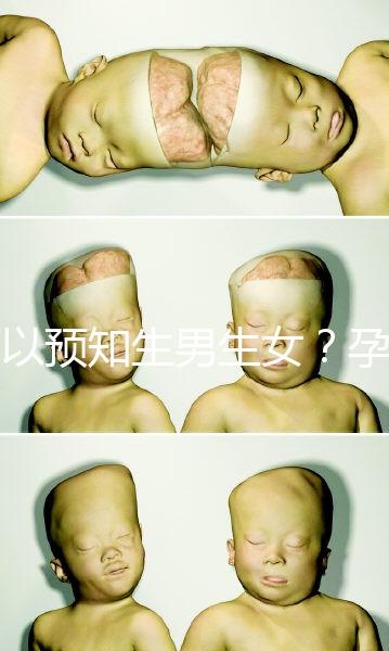 可以預知生男生女？孕婦夢見馬的胎夢解讀