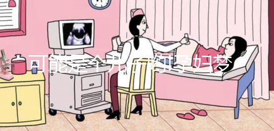 可能是個(gè)兒子喲!孕婦夢見海龜相關(guān)胎夢解析