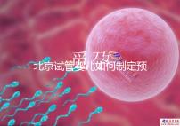 北京試管嬰兒如何制定預算,費用解析必看