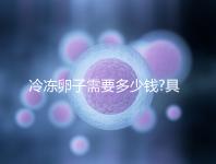 冷凍卵子需要多少錢?具體費用主要分為3大部分