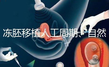 凍胚移植人工周期、自然周期怎么選？哪個成功率高？