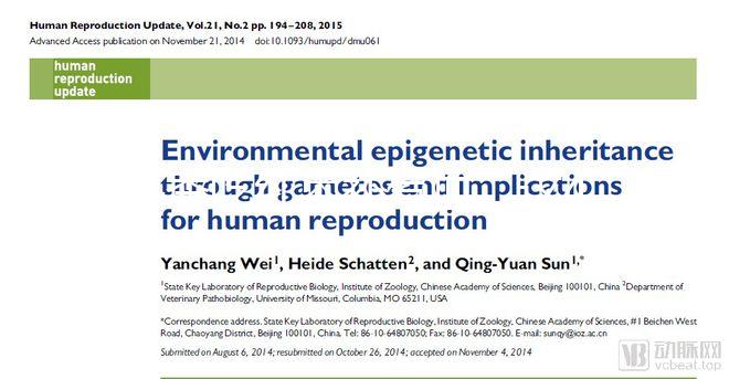 冬季吃紅棗補(bǔ)氣血，這4大禁忌孕婦千萬別犯