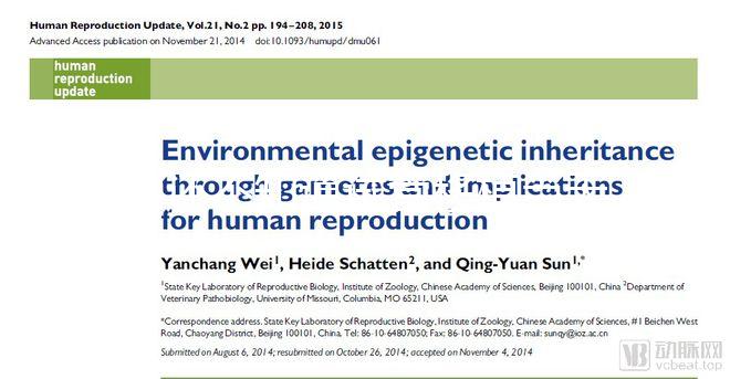 別還不知道試管移植當天打什么針容易著床，用對能更快好孕
