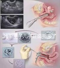 哈里王子兒子正面照來了，梅根評價：氣質甜美，乖巧