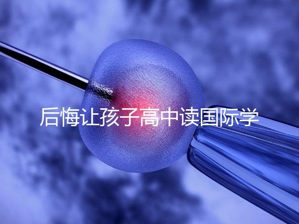 后悔讓孩子高中讀國際學校4大理由,行動前學籍咋辦要弄清