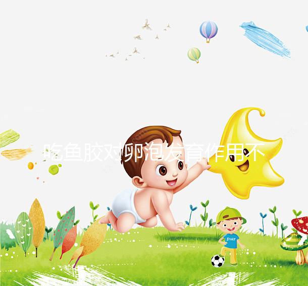 吃魚膠對卵泡發育作用不少，常食用還真能讓卵巢變好