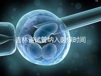 吉林省試管納入醫(yī)保時(shí)間未定別灰心,助孕補(bǔ)助政策了解下