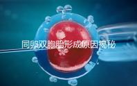 同卵雙胞胎形成原因揭秘,發育過程圖帶你弄清其中原理