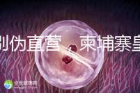 告別偽直營,柬埔寨皇家生殖遺傳醫(yī)院RFG中國辦事處指南