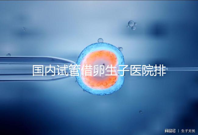 國內試管借卵生子醫院排名（附熱門醫院推薦）