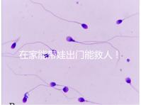 在家能帶娃出門能救人！張云鵬醫生為救人將孩子塞路人