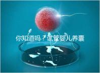 你知道嗎?試管嬰兒養囊的過程比“高考”更殘酷