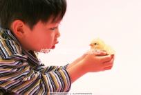 你知道試管空卵泡的原因和癥狀是否會消失嗎？