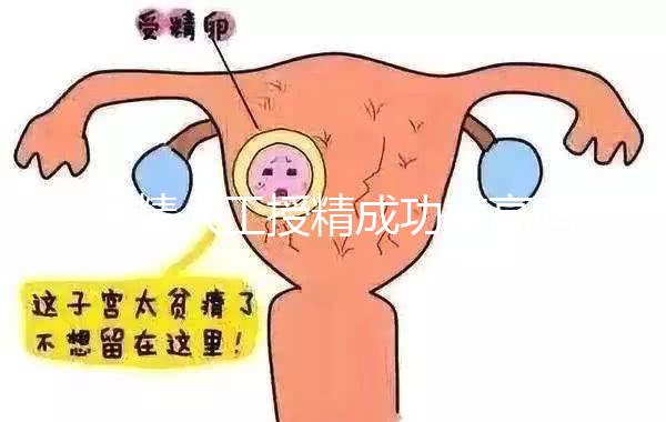 供精人工授精成功率高嗎?取決于這3個關鍵因素