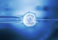 供卵試管嬰兒選擇好醫(yī)院是關(guān)鍵,泰國好的生殖中心有這些