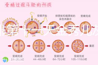 促排第十一天金秀兒灰印、白板均有希望，抽血hcg2懷孕懸