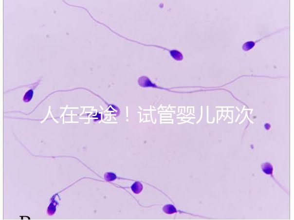 人在孕途!試管嬰兒兩次胎停育,了解這幾招能降低流產(chǎn)風(fēng)險